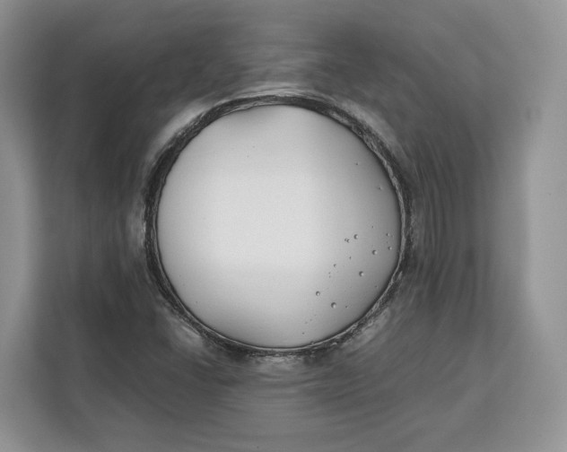 X0000112211406200908281450