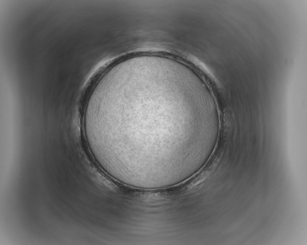 X0000112211408200908281450