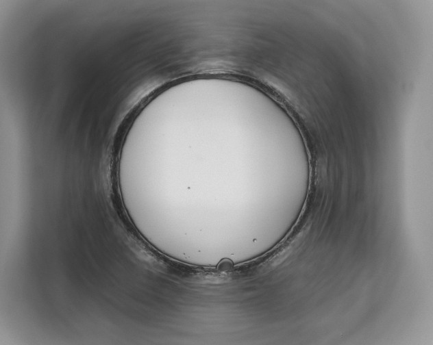 X0000112211410200908281450