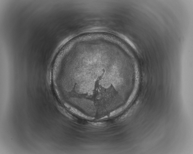 X0000112211413200908281450