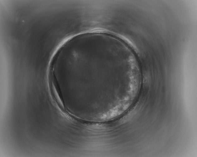 X0000112211414200908281450