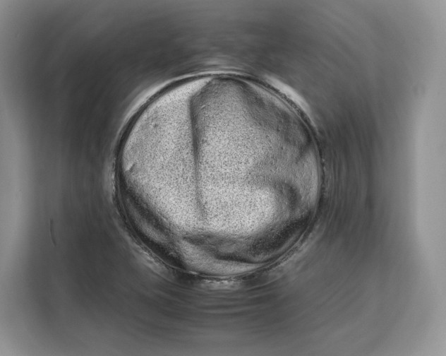 X0000112211415200908281450