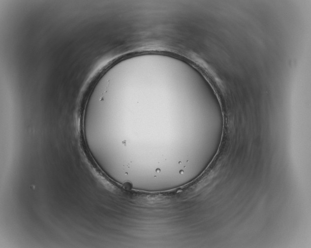 X0000112211416200908281450