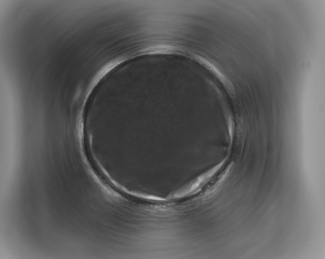 X0000112211418200908281450