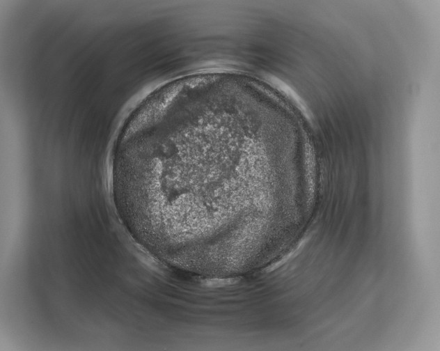 X0000112211419200908281450