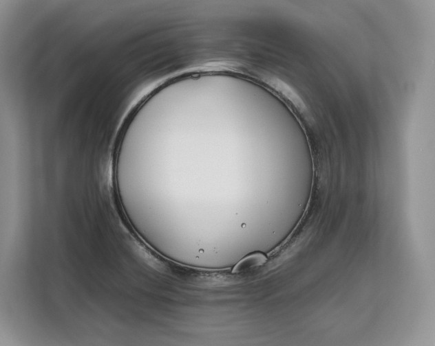 X0000112211420200908281450