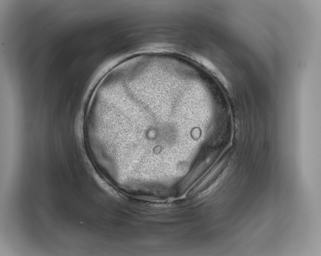 X0000112211421200908281450