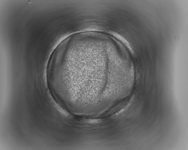 X0000112211423200908281450