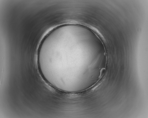 X0000112211424200908281450