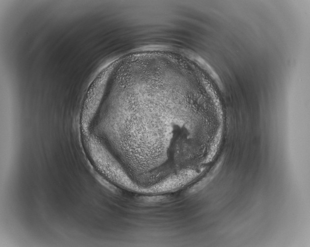 X0000112211425200908281450