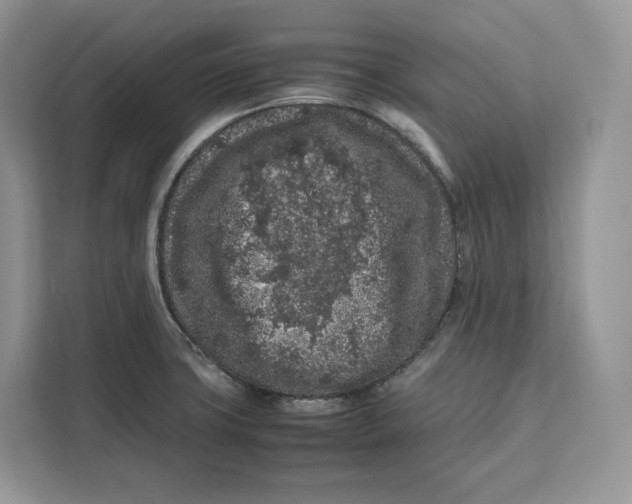 X0000112211427200908281450