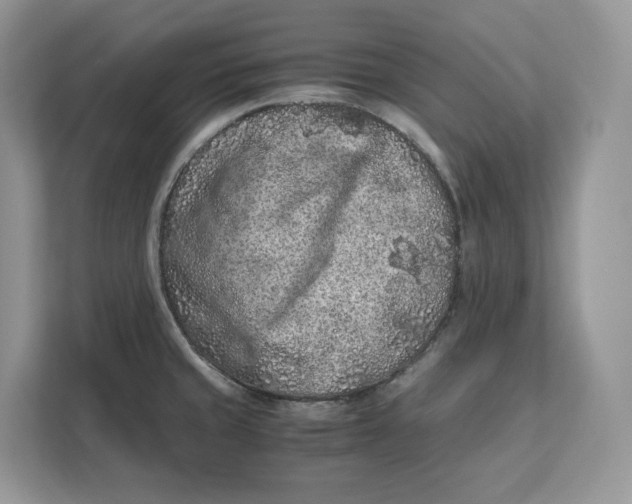 X0000112211429200908281450