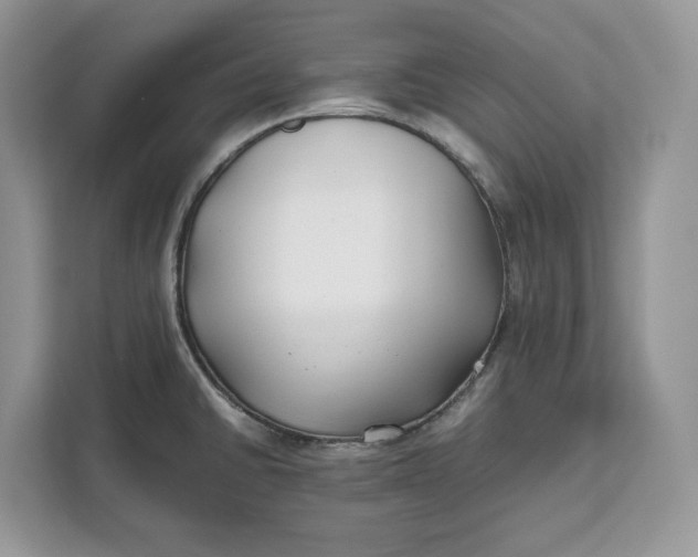 X0000112211430200908281451