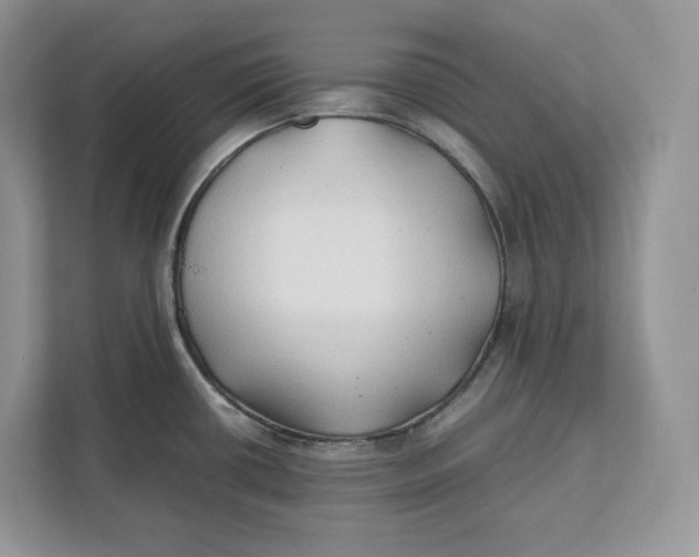 X0000112211434200908281451