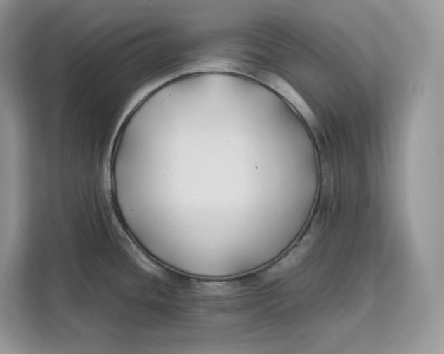 X0000112211436200908281451