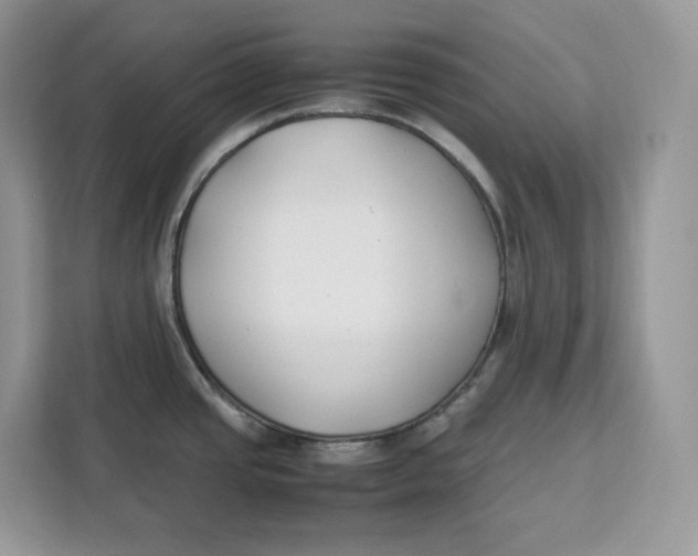 X0000112211437200908281451