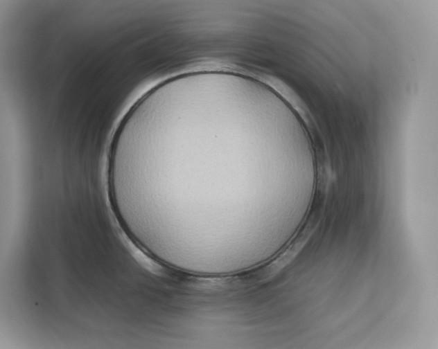 X0000112211438200908281451