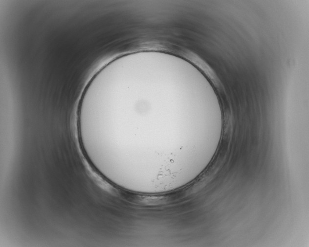 X0000112211439200908281451