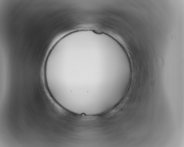 X0000112211440200908281451