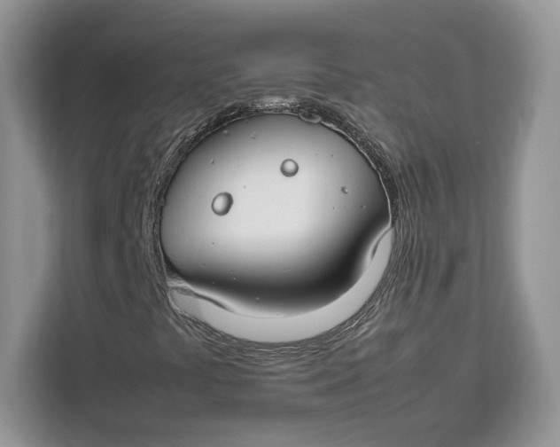 X0000112211441200908281450