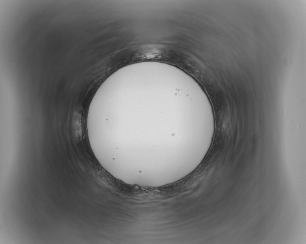 X0000112211442200908281450