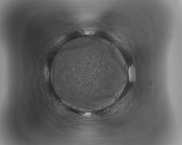 X0000112211443200908281450