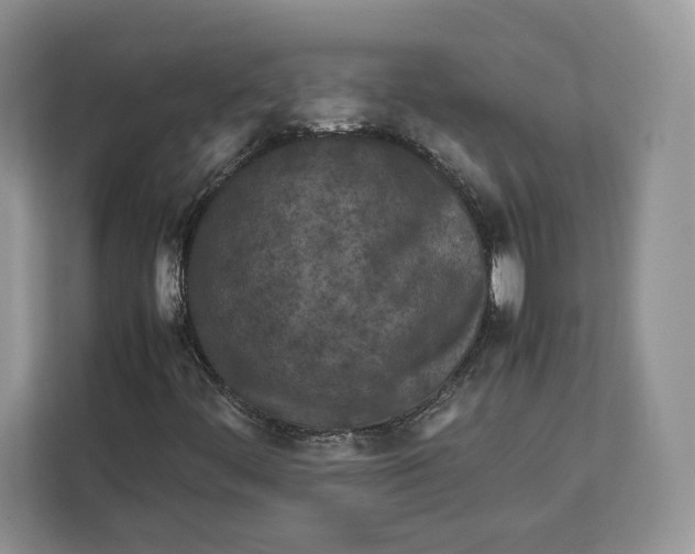 X0000112211444200908281450