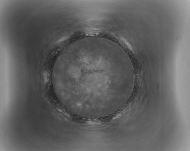 X0000112211445200908281450