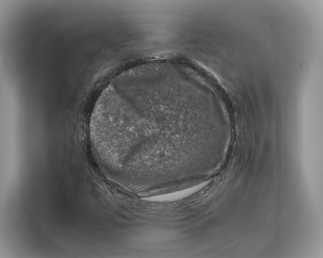 X0000112211447200908281450