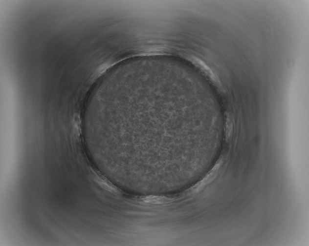 X0000112211449200908281450