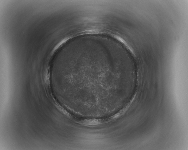 X0000112211450200908281450