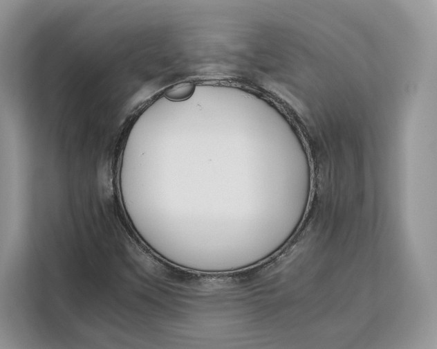 X0000112211451200908281450