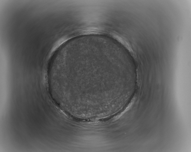 X0000112211453200908281450