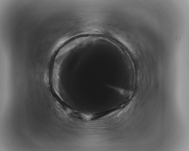 X0000112211455200908281450