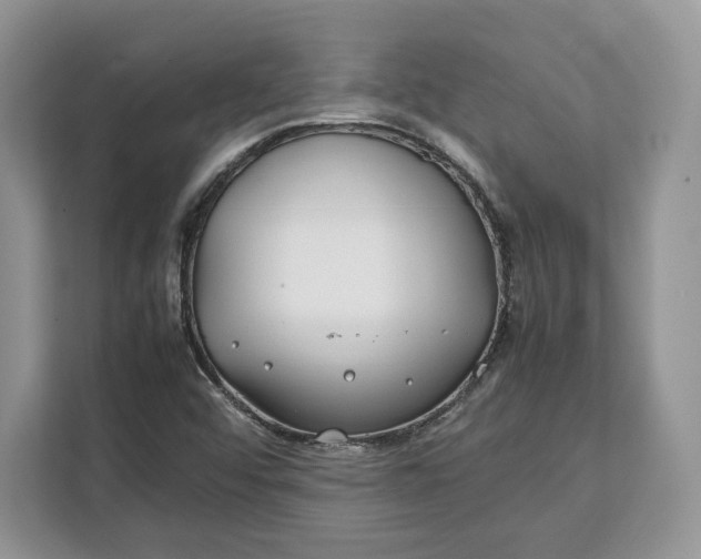 X0000112211456200908281450