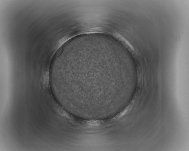 X0000112211457200908281450