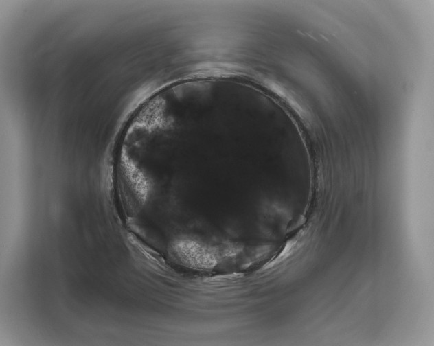 X0000112211459200908281450