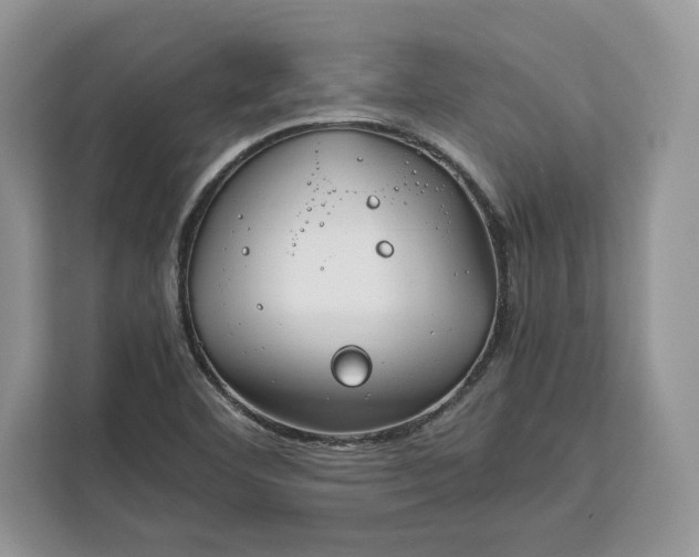 X0000112211460200908281450