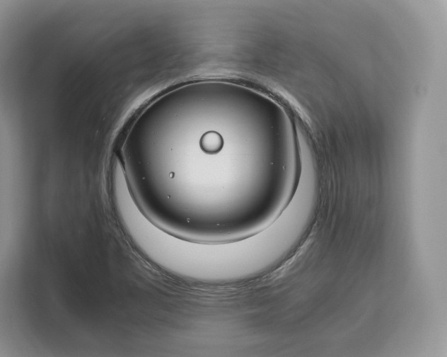 X0000112211461200908281450