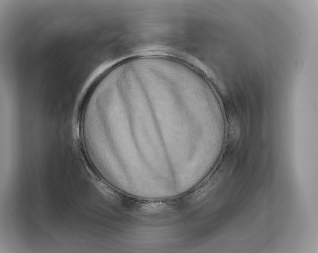 X0000112211462200908281450