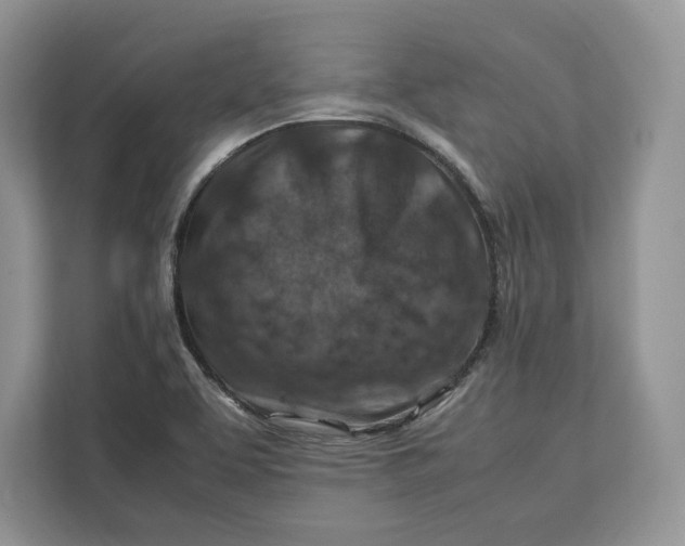 X0000112211463200908281450