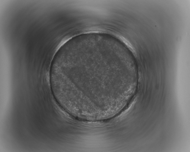 X0000112211465200908281450