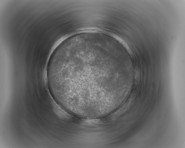 X0000112211466200908281450