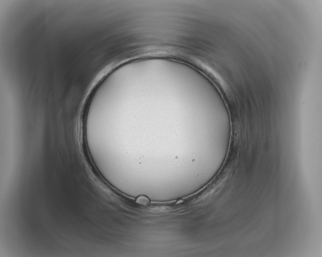 X0000112211467200908281450