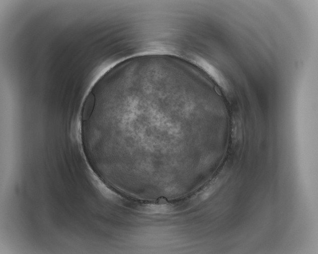 X0000112211468200908281450