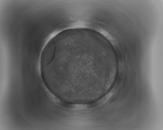 X0000112211469200908281450