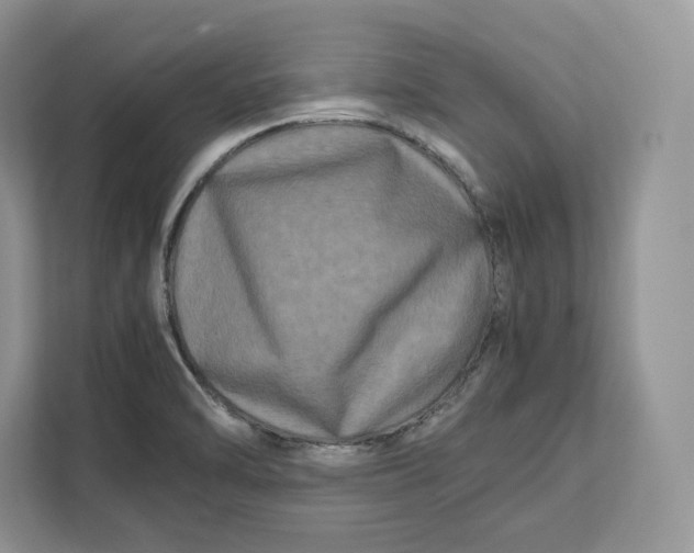 X0000112211470200908281450