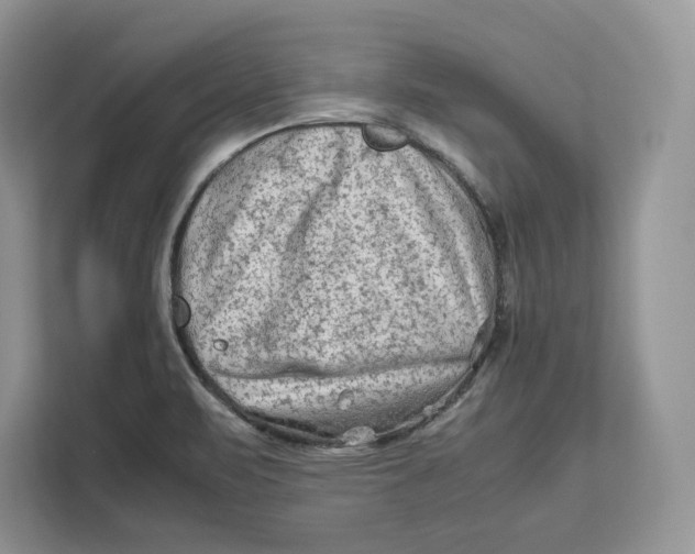 X0000112211471200908281450