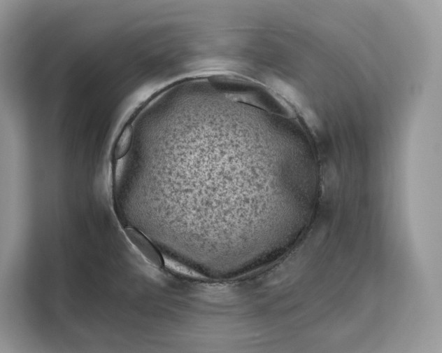 X0000112211472200908281450