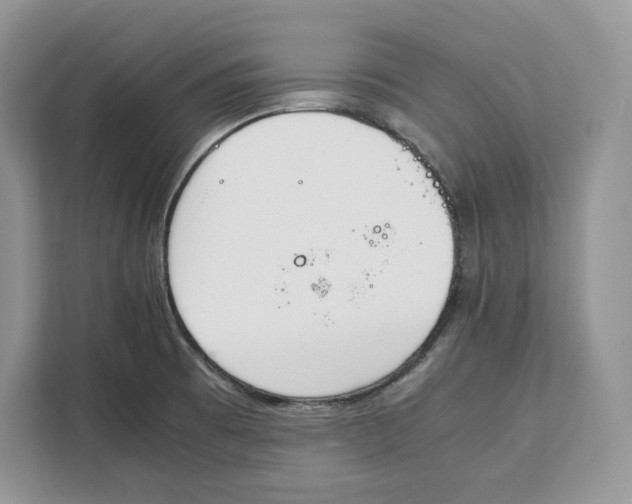 X0000112211473200908281450